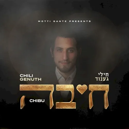Chibu cover