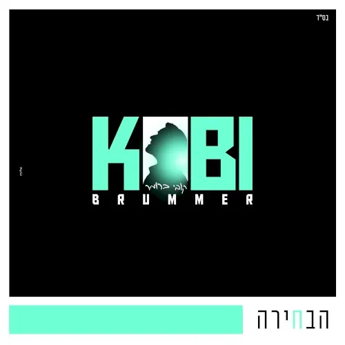 הבחירה cover