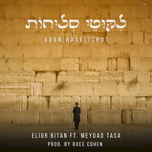אדון הסליחות cover
