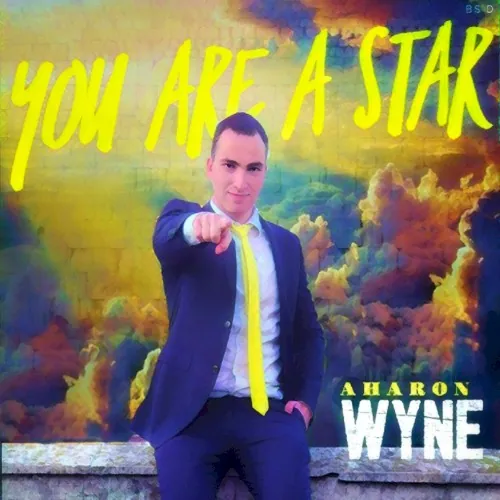 You Are a Star cover