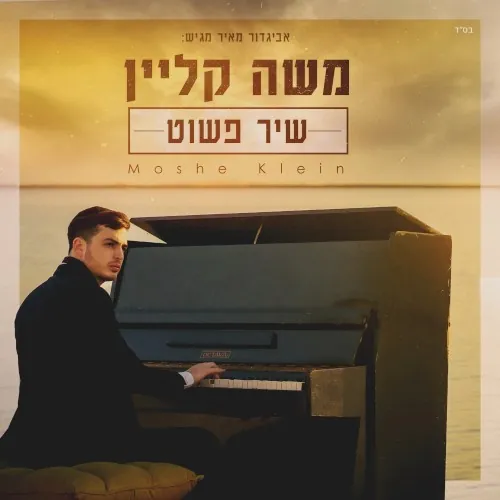 שיר פשוט cover