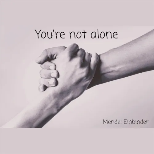 You’re Not Alone cover