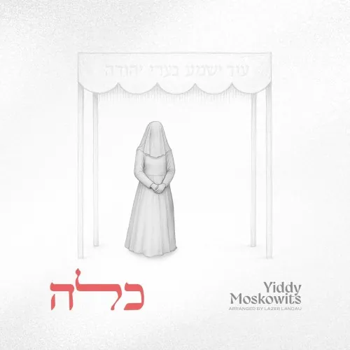 כלה cover