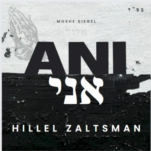 Ani Ani cover