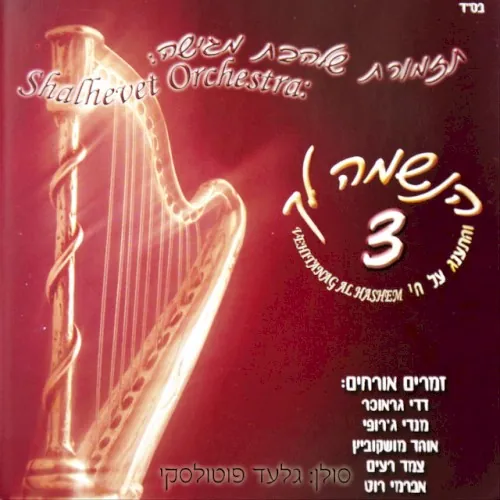 הנשמה לך 3 cover