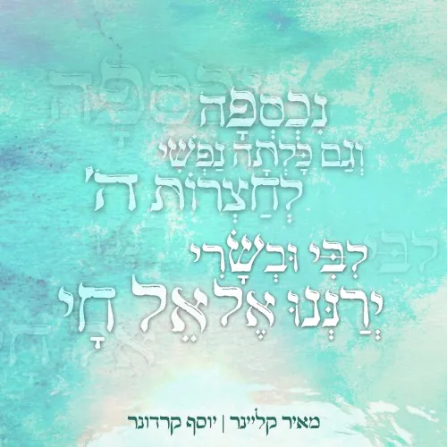 נכספה cover