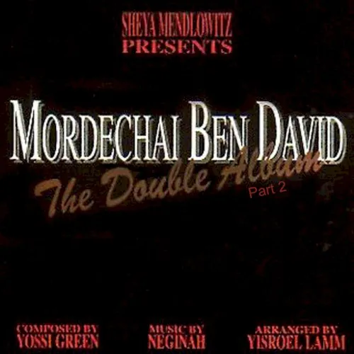 The Double Album cover