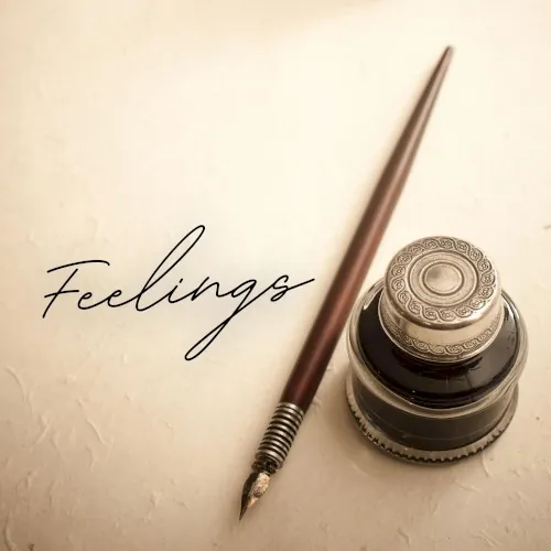 Feelings cover