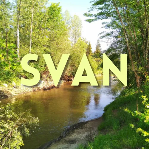 SVAN cover