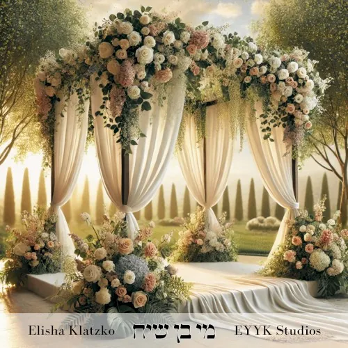 מי בן שיח cover