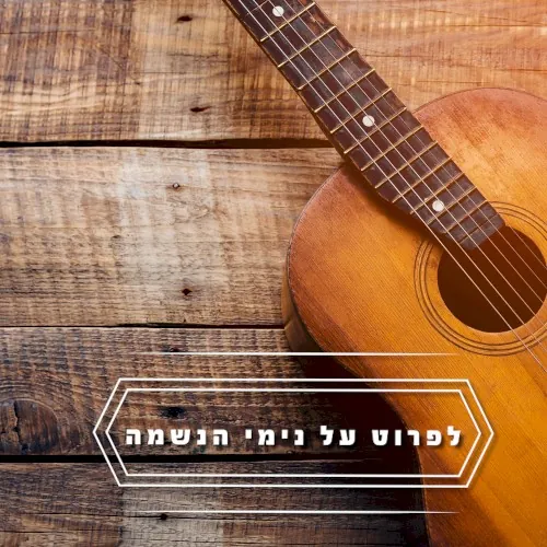 לפרוט על נימי הנשמה cover