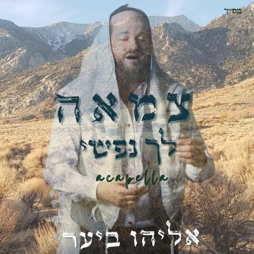 Tzama Lecha Nafshi cover