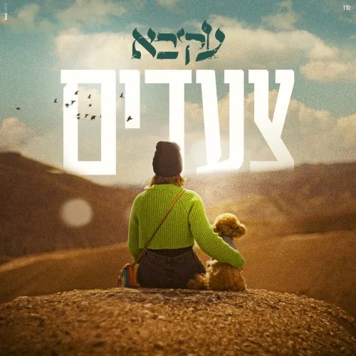 צעדים cover