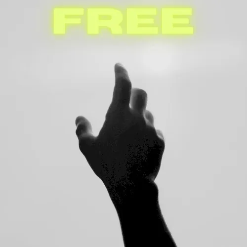 FREE cover
