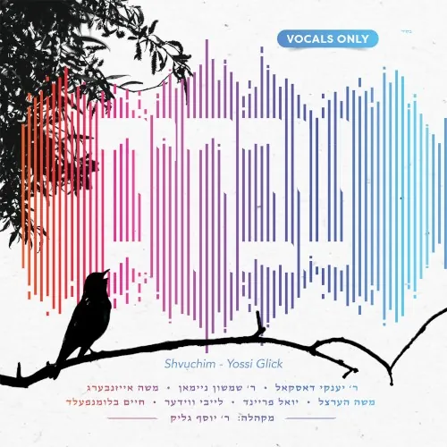 Shvuchim cover