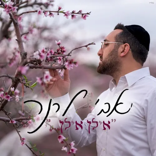 אילן אילן cover