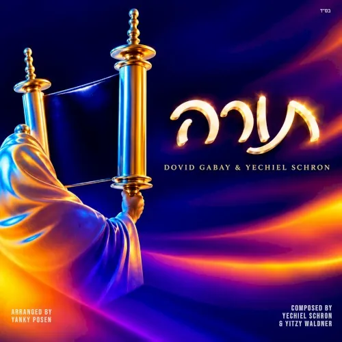 Torah cover