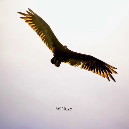 Wings cover