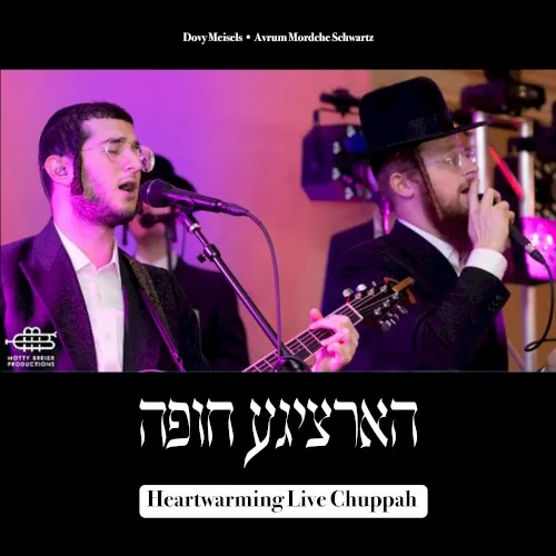 Heartwarming Live Chuppah cover