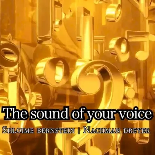 The Sound of Your Voice cover