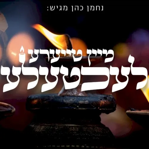מיין טייערע לעכטעלע cover