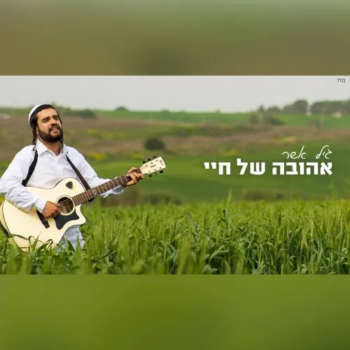 אהובה של חיי cover
