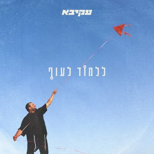 ללמוד לעוף cover