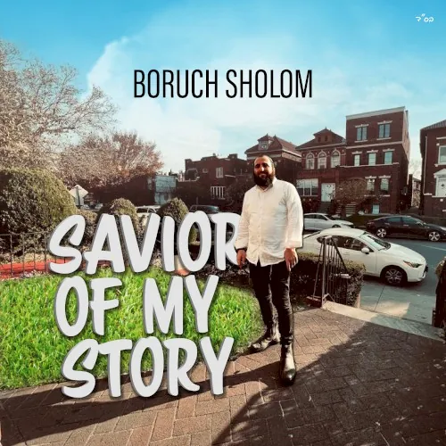 Savior of My Story cover