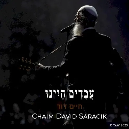 עבדים היינו cover