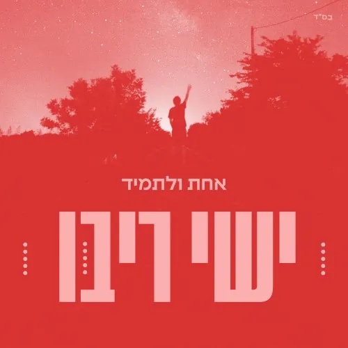אחת ולתמיד cover