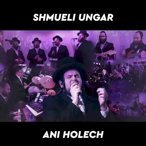 Ani Holech cover
