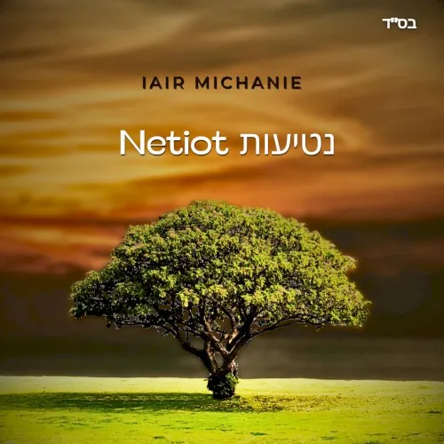 Netiot cover