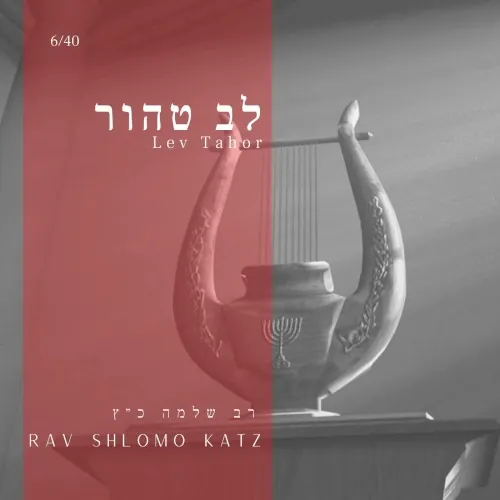Lev Tahor cover