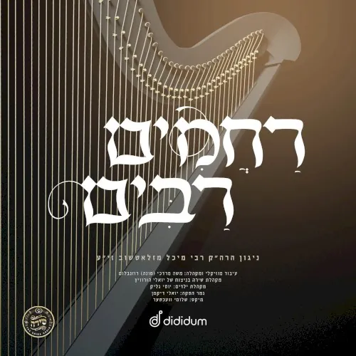 Rachamim Rabim cover