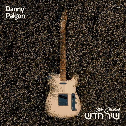 שיר חדש cover