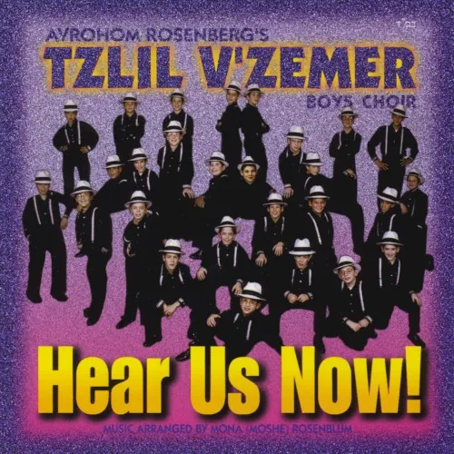 Tzlil V'zemer, Volume 8 cover