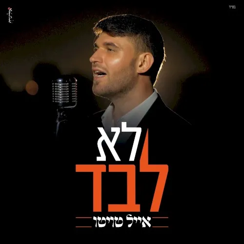 לא לבד cover