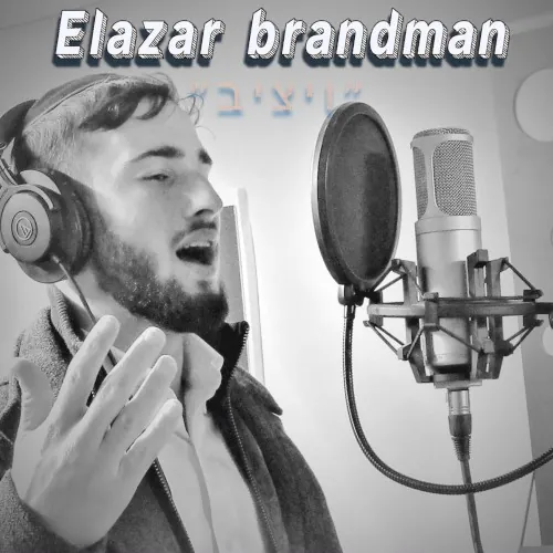 ויציב cover