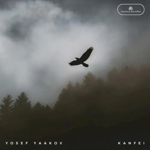 Kanfei cover