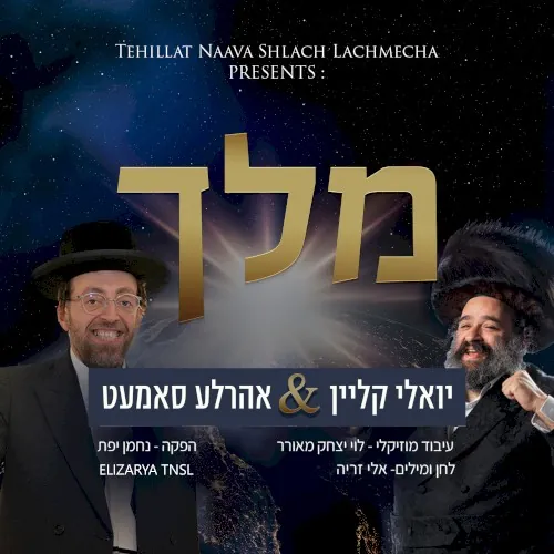 מלך cover