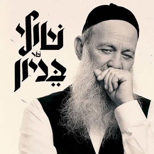 שולי שר בניון cover
