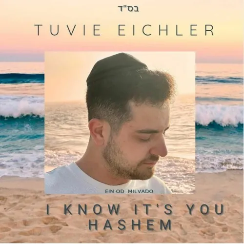 I Know Its You Hashem cover