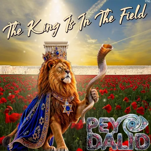 The King Is in the Field cover