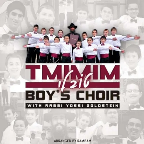 Tov Li cover