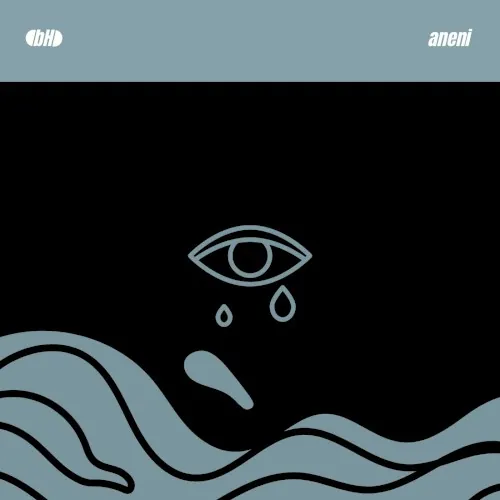 Aneni cover