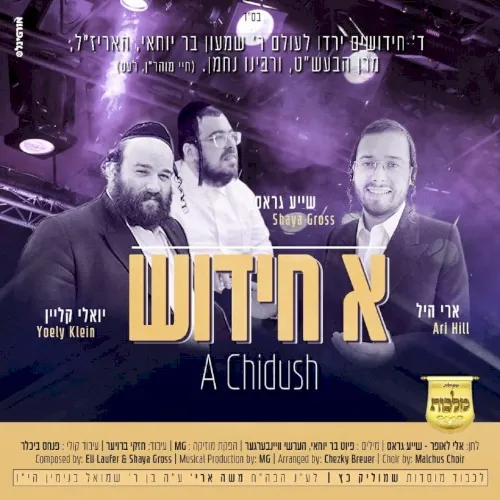 א חידוש cover