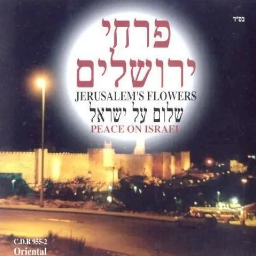שלום על ישראל cover