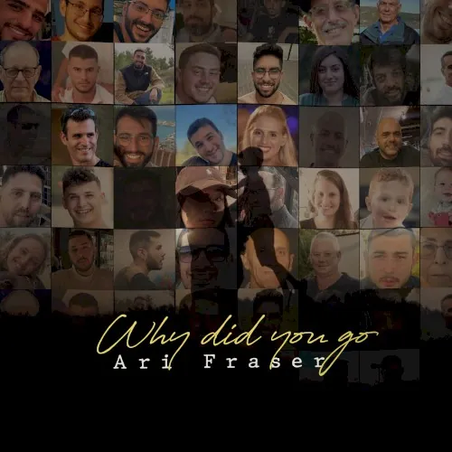 Why Did You Go cover