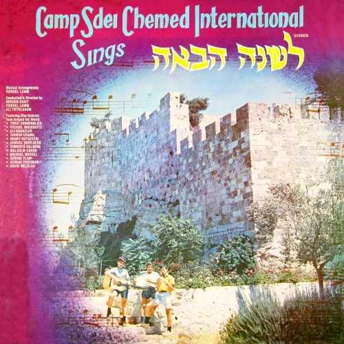 לשנה הבאה בירושלים הבנויה cover