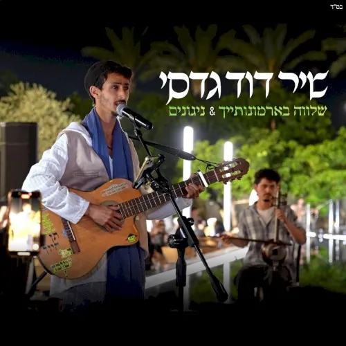 שלווה בארמונותייך & ניגונים cover